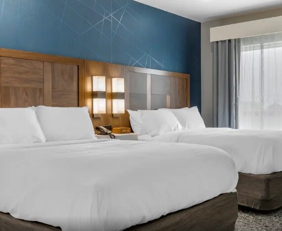 comfort suites hotel with window drapery and bedding