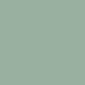 Solid-Sage